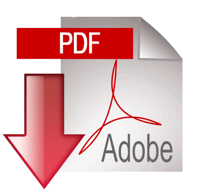 PDF File